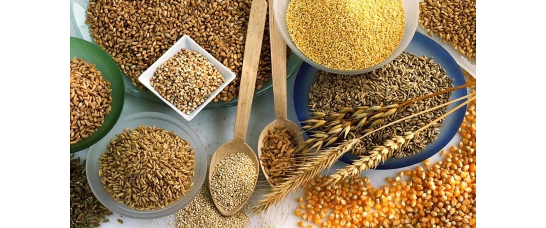 Yeni Hasat Tahıldan 5,8 milyon ton tahıl ihraç edildi