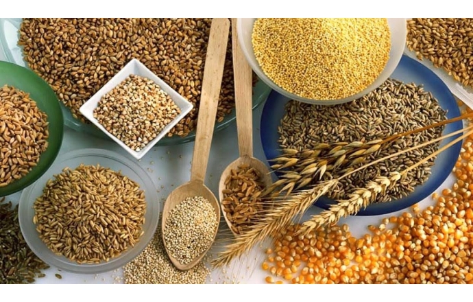Yeni Hasat Tahıldan 5,8 milyon ton tahıl ihraç edildi